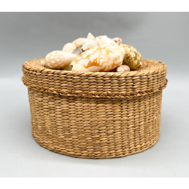 Vintage Woven Basket Box With Seashell-Adorned Lid — Coastal / Bohemian For Sale - Image 9 of 13