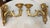Large Antique Ornate Carved Italian Gilt Wood Cherub Wall Sconce Fixtures - a Pair For Sale - Image 11 of 18