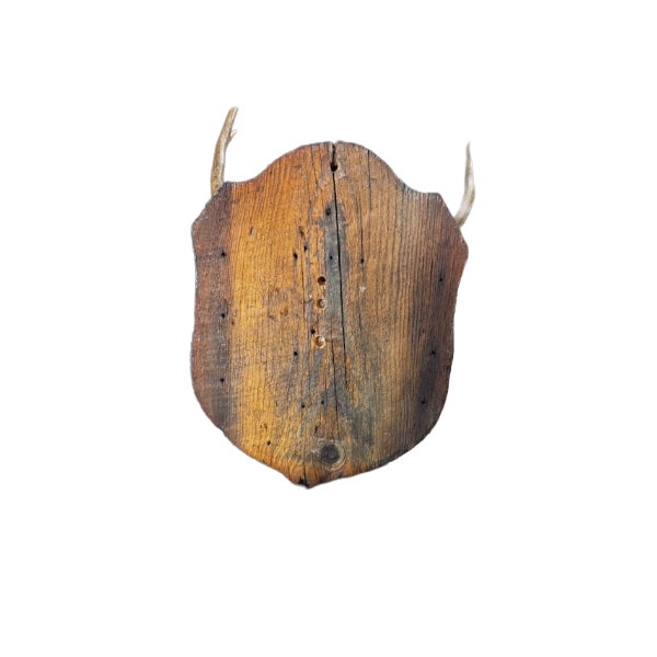 Cabin Vintage Trophy Mounted Antlers For Sale - Image 3 of 4