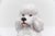 Ceramic Vintage Italian Ceramic Poodle, 1960s For Sale - Image 7 of 14