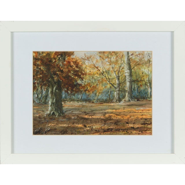 20th Century Watercolour Drawing of Autumnal Trees in Northern Ireland Forest 1950 Circa For Sale