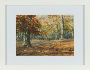 20th Century Watercolour Drawing of Autumnal Trees in Northern Ireland Forest 1950 Circa