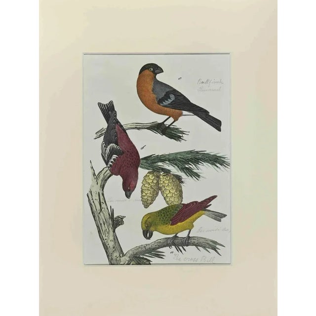 Johann Friedrich Naumann, The Cross Bell, Etching, 1840 For Sale - Image 3 of 3