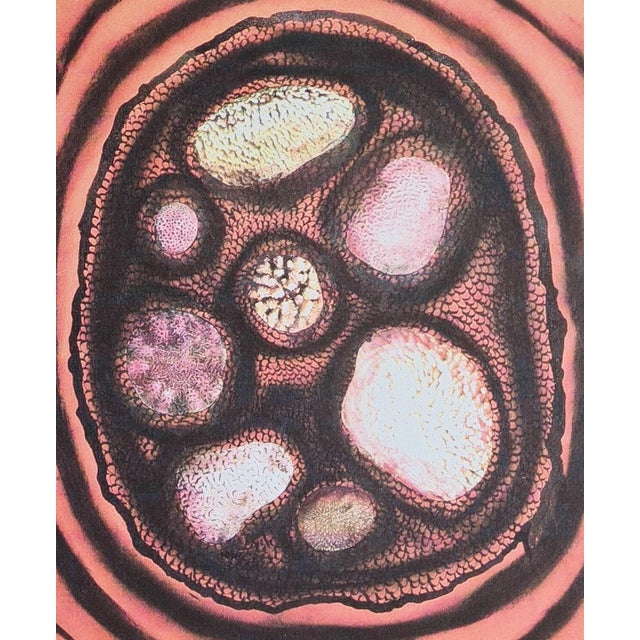 1990s After Yayoi Kusama, Untitled, Lithograph, 1990s For Sale - Image 5 of 7