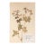 Vintage Swedish Herbarium - Geranium, Circa 1958 For Sale