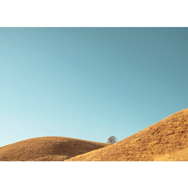 Photographic print by Brooklyn based photographer Niqui Carter. Open edition digital C-print on archival photo paper which...