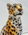 Contemporary Leopard Statue in Ceramic by Ceramiche Boxer For Sale - Image 3 of 7