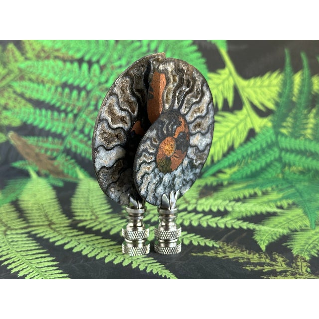 Rustic Split Ammonite Fossil Lamp Finials on Chrome Hardware - a Pair For Sale - Image 3 of 6
