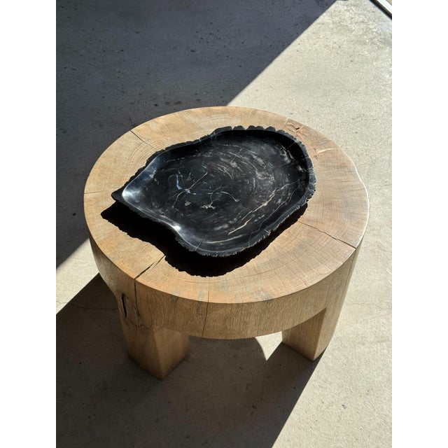 Large Trinket Tray in Black Petrified Wood For Sale - Image 13 of 16