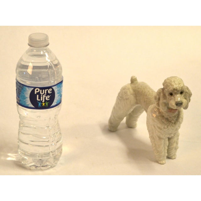 1950s Lladro Fine Handmade Porcelain Poodle Dog Figurine Animal Sculpture Spain For Sale - Image 9 of 18