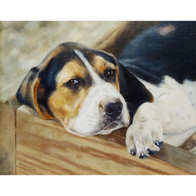 American Anita Baarns - Cute Foxhound Puppy Relaxing -Oil Painting For Sale - Image 3 of 8