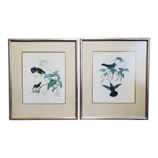 Antique Framed Hummingbird Prints, Porphyry-Tailed Mango, Villavicencio’s Sabre-Wing Original Pl. 47 & 81, j.gould C1855 For Sale