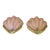 Pair Art Deco Shell Clam Shaped Pink Glass Brass Wall Sconce For Sale