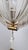 Chandelier in Brass and Clear Glass by Ercole Barovier for Barovier & Toso, 1960s For Sale - Image 12 of 18