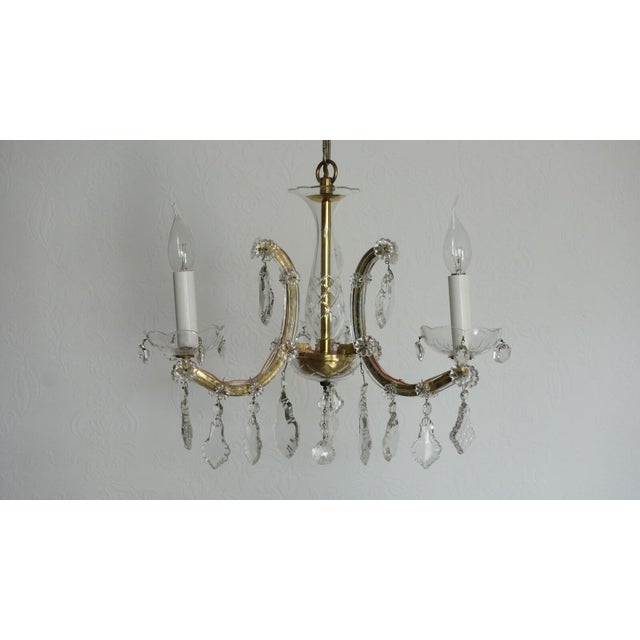 Antique Maria Theresia Chandelier from Palwa, 1950s For Sale - Image 13 of 13