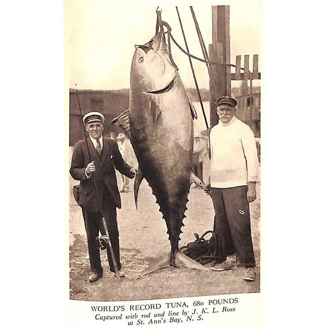 "Sport on Land and Water: Volumes I, Ii, Iii" 1913 Griswold, Frank Gray For Sale - Image 16 of 18