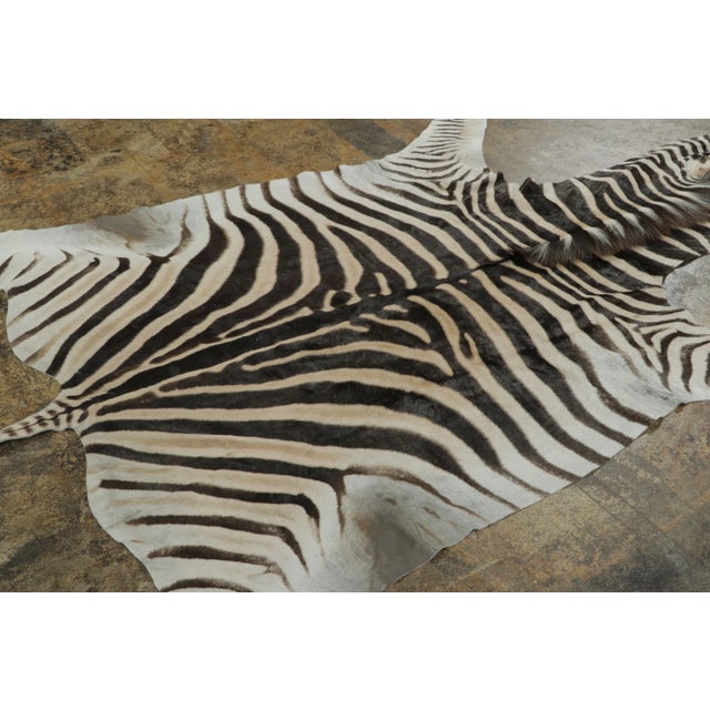 Originating from Africa, this 6x10 premium Burchell zebra hide is a striking addition to Rug & Kilim’s Contemporary...