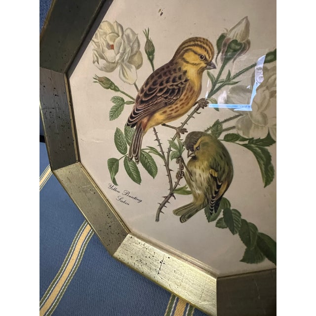 Wood Vintage Pair of Bird Prints in Octogon Shaped Frame -2 For Sale - Image 7 of 8