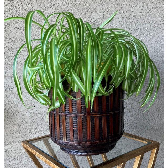 Mid 20th-Century Finely Handwoven Lacquered Rattan Cachepot / Planter Basket For Sale - Image 11 of 12