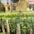 E. Papps Original Oil Painting Cottage in the Field – Signed For Sale - Image 9 of 12