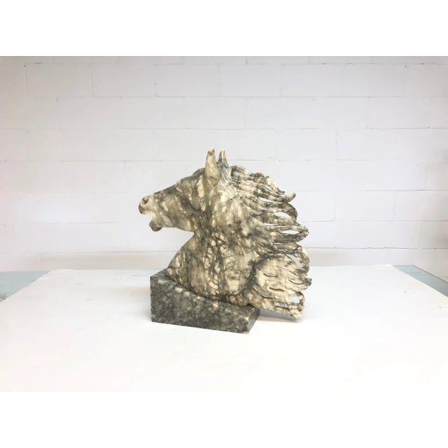 Stone Mid Century Marble Horse Head Bust on Marble Base For Sale - Image 7 of 10
