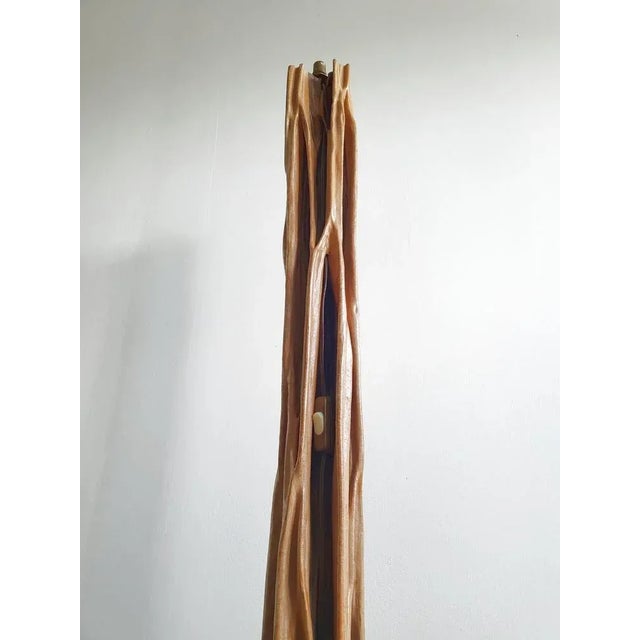 Wood Mid-Century French Floor Lamp in Driftwood & Mahogany, 1950s For Sale - Image 7 of 13