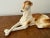 English Antique German Porcelain Borzoi Dog Sculpture For Sale - Image 3 of 8