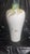 Large Hand-Painted Vase from Cerámicas Benlloch Manises, Spain, 1980s For Sale - Image 6 of 9