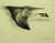 "Feather Flight" Original Limited Edition Lithograph by Larry Fodor Hand signed, numbered & titled by the artist Paper...
