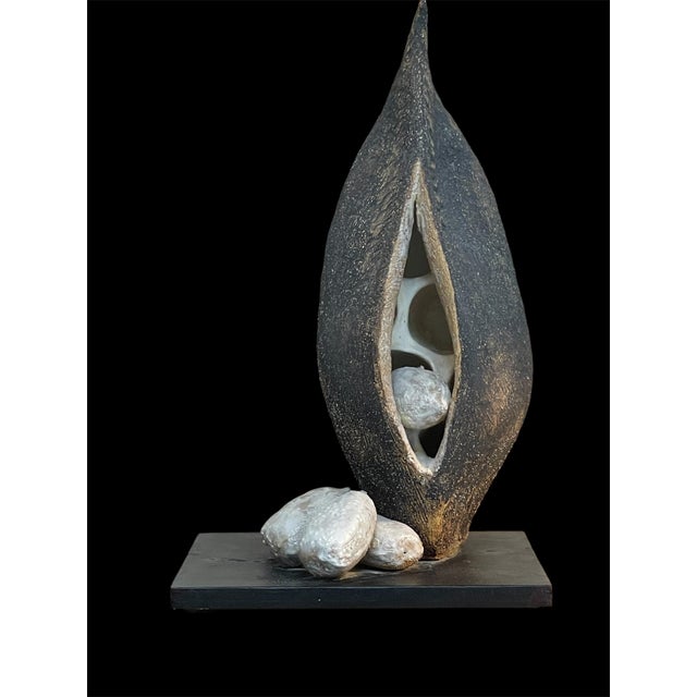 One-of-a-kind organic vintage sculpture of a milkweed pod and seeds. Black and white glazed ceramic on wood plinth base....