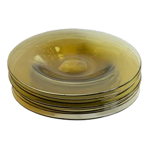 Rare Fredrick Carder for Steuben Yellow Glass Plates Signed (Set of 6)