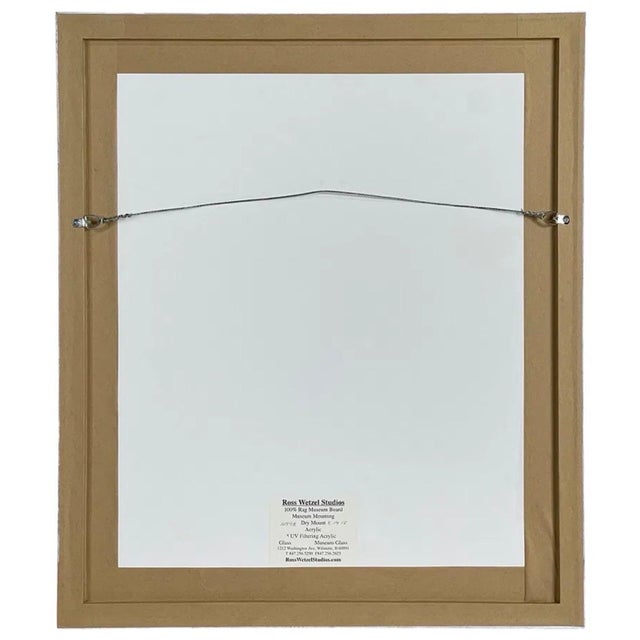 Lorna Marsh, Abstract Expressionist Contemporary Modernist South African Painting Lorna Marsh, 2015 For Sale In Miami - Image 6 of 7