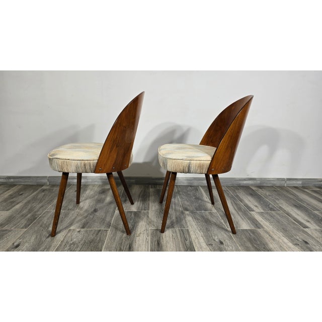 Dining Chairs by Antonin Suman, 1960s, Set of 2 For Sale - Image 6 of 17