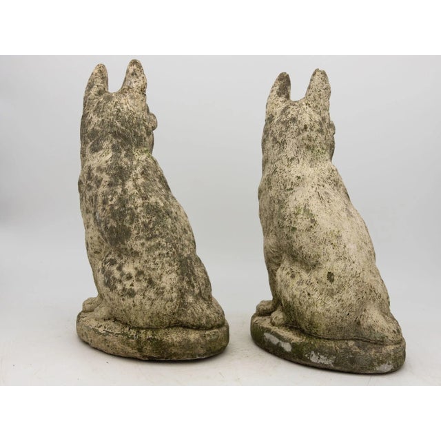Pair of Concrete Shepherd Dogs, English Mid 20th Century For Sale - Image 4 of 9