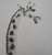 Laszlo Tibay (1962) The Playful Giraffe Original ink and wash drawing Signed upper left Authenticated by the artist's...