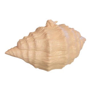 Vintage Pale Pink Fitz and Floyd Style Conch Textured Soup Tureen For Sale