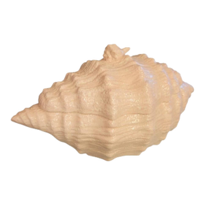 Vintage Pale Pink Fitz and Floyd Style Conch Textured Soup Tureen