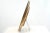 Mid 20th Century Hand Turned Wood Tray For Sale - Image 4 of 6
