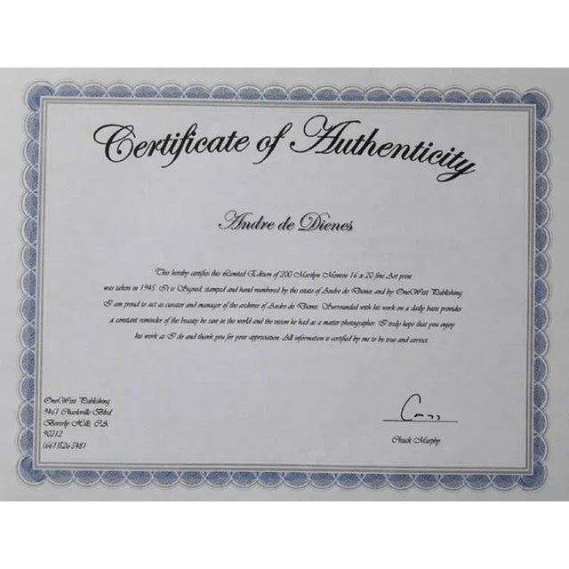 André de Dienes, Marilyn in Jeans, Photographic Print For Sale - Image 4 of 5