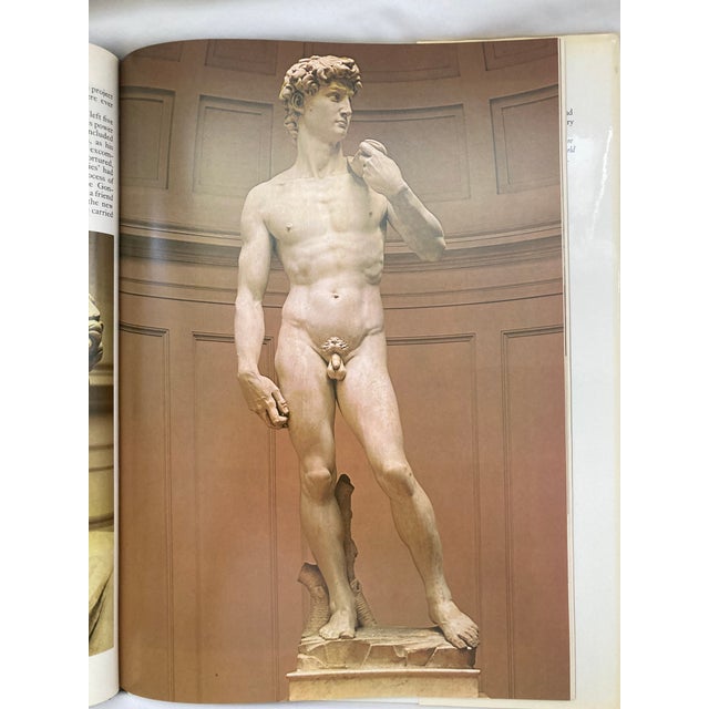 Paper The Art of Michelangelo / a Vintage Coffee Table Book For Sale - Image 7 of 14