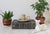 Farmhouse Vintage Maple City Pottery Salt Glaze Taper Candle Holder For Sale - Image 3 of 8