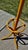 Mid 20th Century Bamboo Hat/Coat Rack Hall Tree Umbrella Holder For Sale - Image 9 of 12