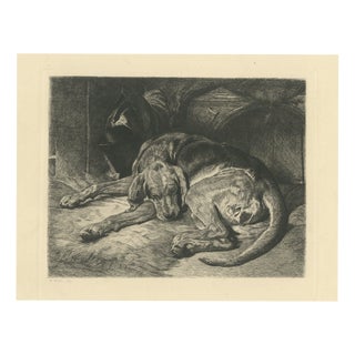 W. Wise, Sleeping Hound with a Plumed Helmet, 1880, Etching For Sale