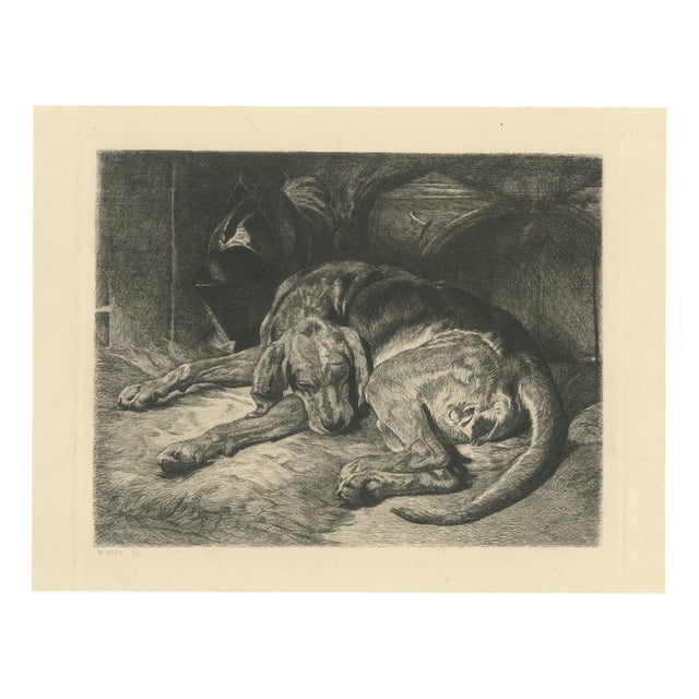W. Wise, Sleeping Hound with a Plumed Helmet, 1880, Etching For Sale