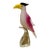 Hand Blown Murano Glass Toucan Bird Sculpture For Sale