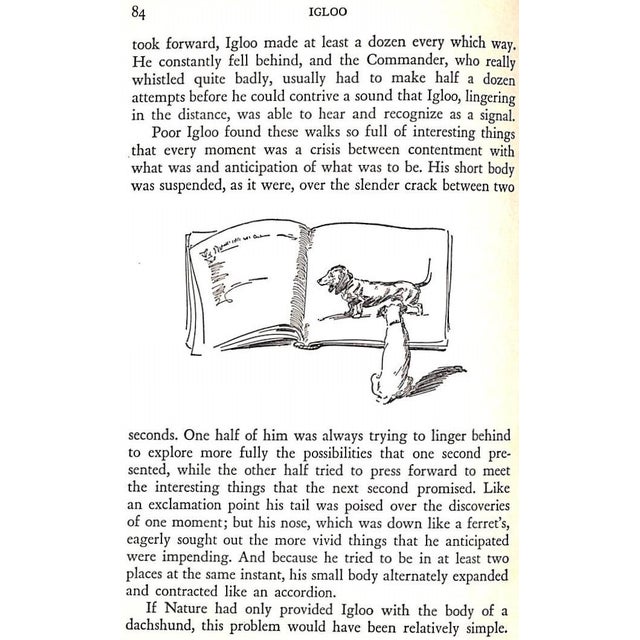 White "Igloo" 1931 Walden, Jane Brevoort For Sale - Image 8 of 12