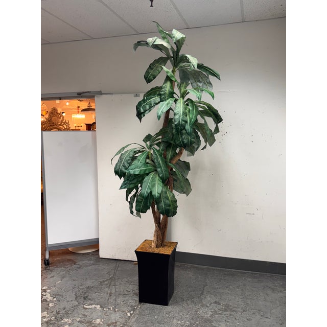 Design Plus Gallery presents a Faux Bird Nest Palm + Black Tapered Planter. This oversized decorative plant pairs a...