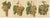 Green and White Grape Varieties, 1890s, Paper, Set of 4 For Sale - Image 6 of 6