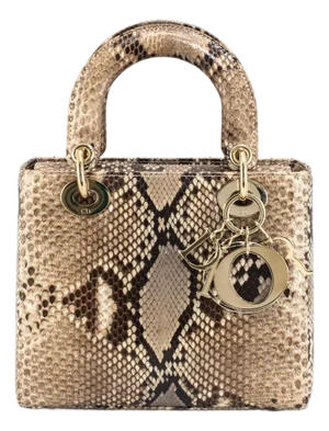 Christian Dior Lady Dior Python Snakeskin Gold Hardware Top Handle Bag