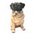 Vintage Large Pug Ceramic Figure For Sale